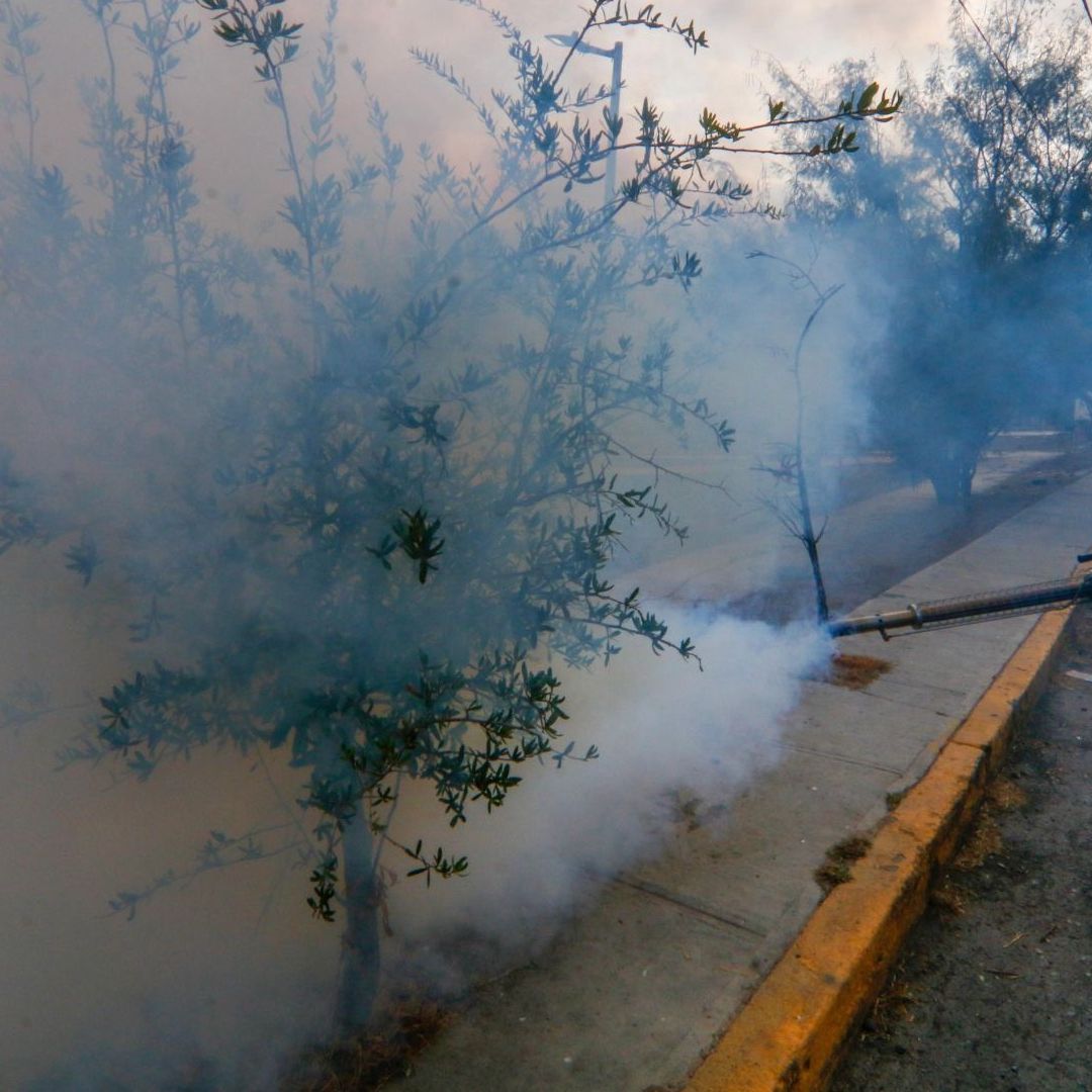 Fumigación contra el dengue en Monterrey